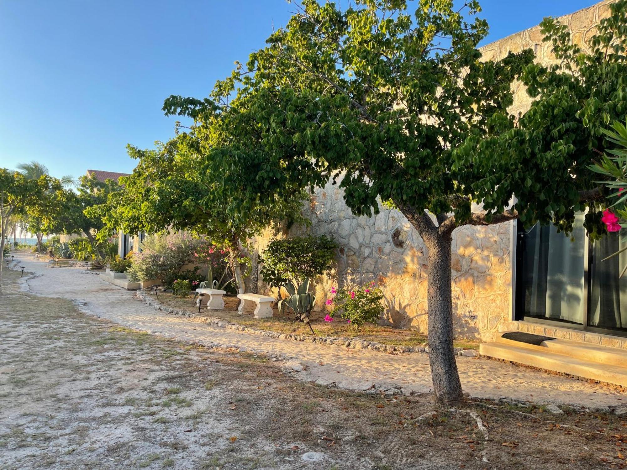 Bremar 85 Private Place - Adults Only Celestun Extérieur photo